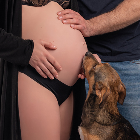 Dettaglio di una pancia in attesa